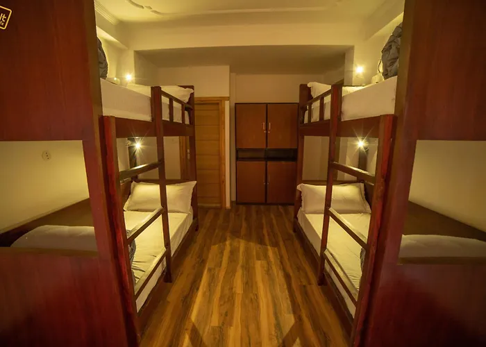 Alt Life - ManaliHostel